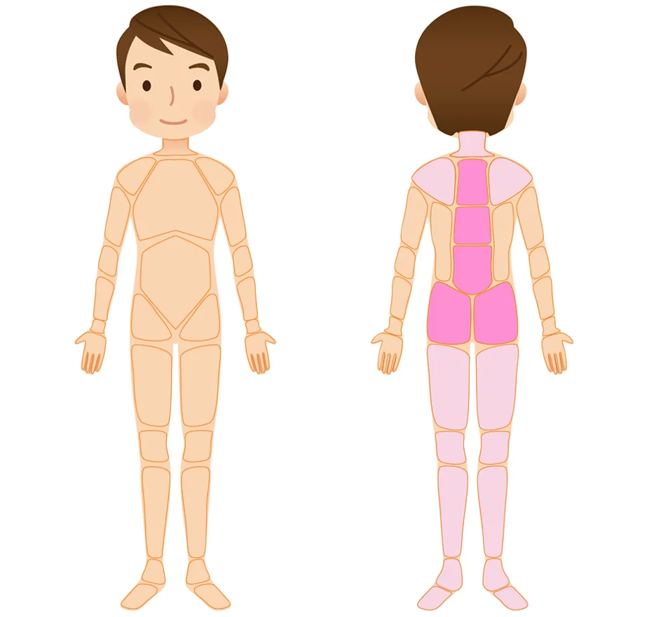 原因不明の腰痛の鍼治療Aの範囲