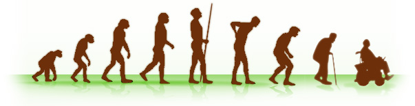 背骨の進化と背骨の老化