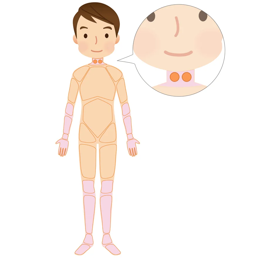 寝違え|自律神経の鍼治療の範囲